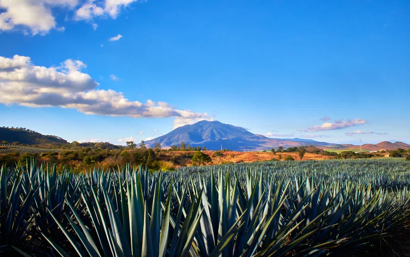 Jalisco